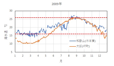 アオリイカ釣りの時期 シーズン 愛しのfishing