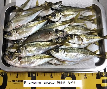 和歌山の海釣り 防波堤で釣れる魚の時期と釣り方 愛しのfishing