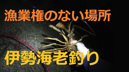 静岡でイセエビ釣りok 漁業権について調べてみた 愛しのfishing