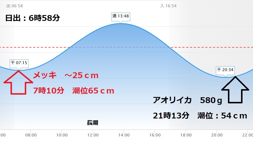 新芳養漁港でメッキからのヤエン釣り 愛しのfishing