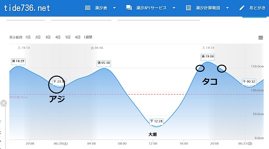 大阪でアジ タコ 6月 愛しのfishing