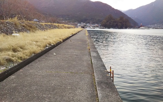 紀東 三重 でアオリイカが釣れるポイント 釣り場 愛しのfishing