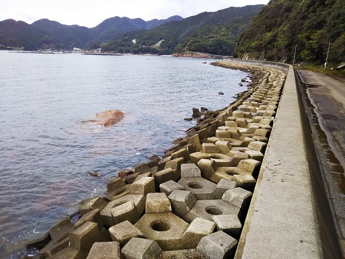 紀東 三重 でアオリイカが釣れるポイント 釣り場 愛しのfishing