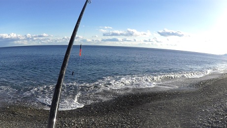 七里御浜でカゴ釣り からの アオリイカ アジ 愛しのfishing